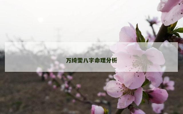万绮雯八字命理分析