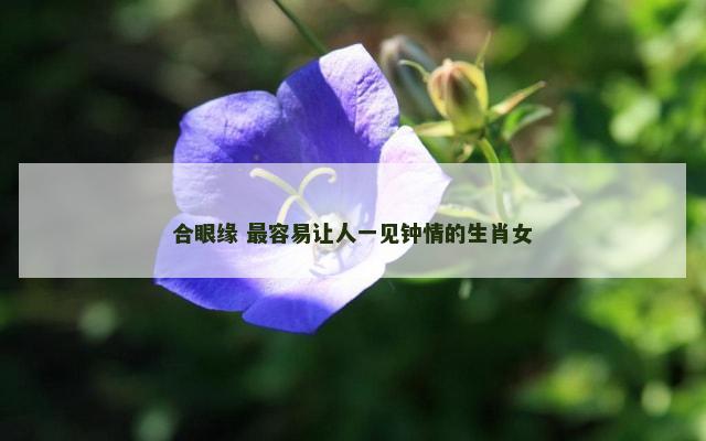 合眼缘 最容易让人一见钟情的生肖女