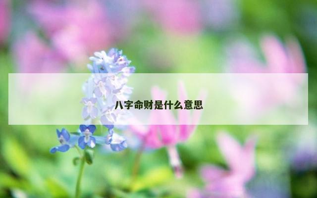 八字命财是什么意思