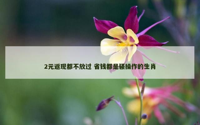 2元返现都不放过 省钱都是骚操作的生肖