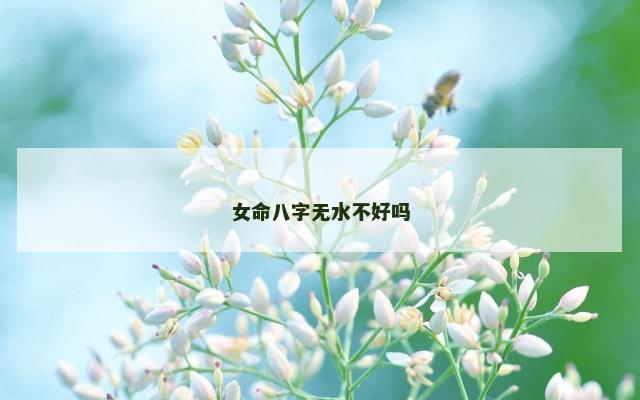 女命八字无水不好吗