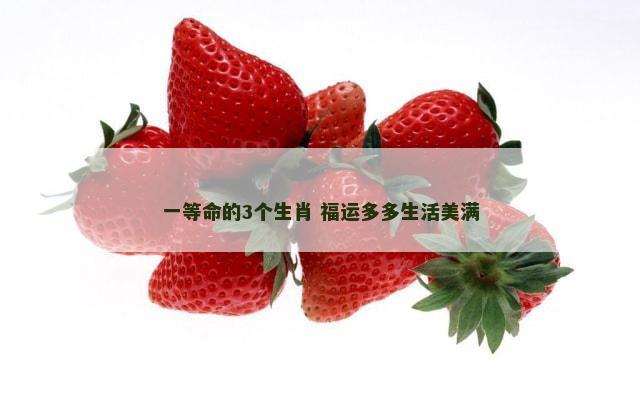 一等命的3个生肖 福运多多生活美满