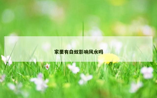 家里有白蚁影响风水吗