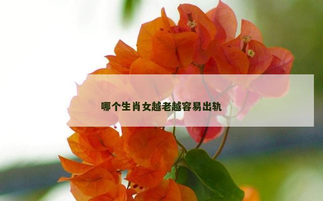 哪个生肖女越老越容易出轨