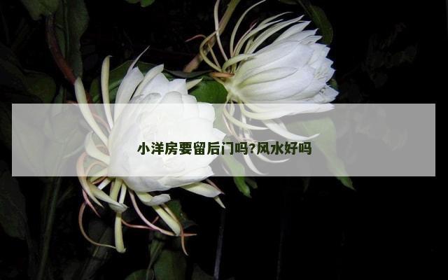 小洋房要留后门吗?风水好吗