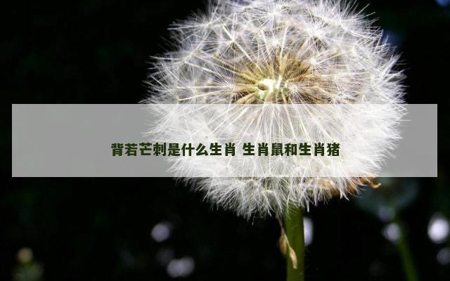 背若芒刺是什么生肖 生肖鼠和生肖猪