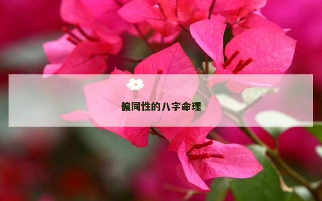偏同性的八字命理