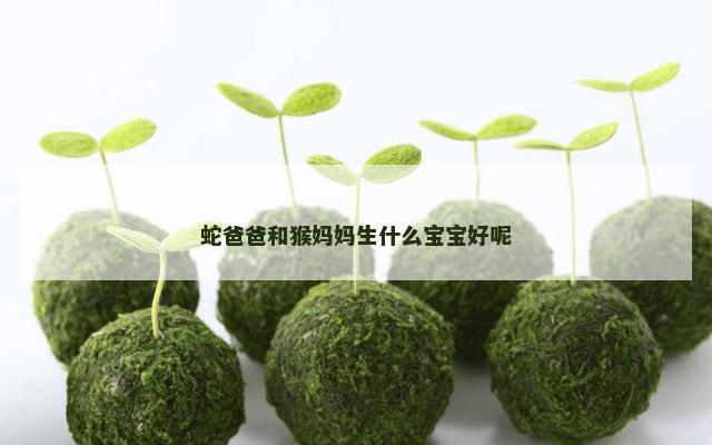 蛇爸爸和猴妈妈生什么宝宝好呢