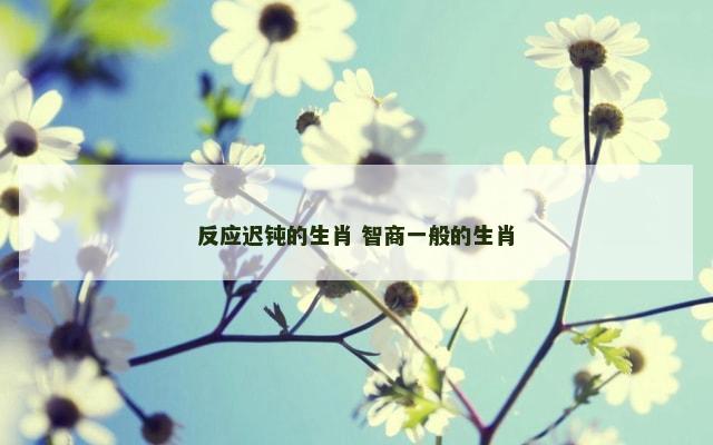 反应迟钝的生肖 智商一般的生肖