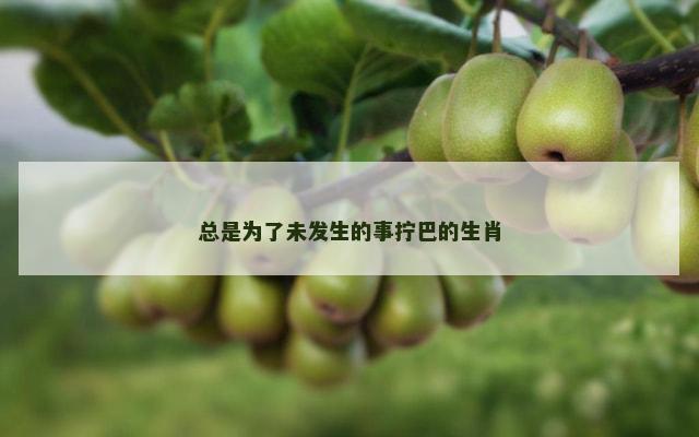 总是为了未发生的事拧巴的生肖