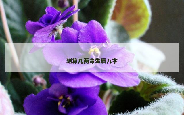 测算几两命生辰八字