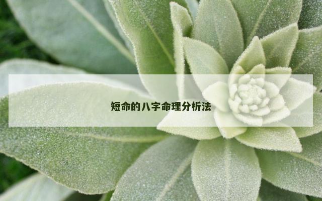 短命的八字命理分析法