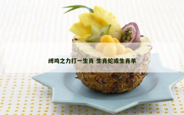 缚鸡之力打一生肖 生肖蛇或生肖羊