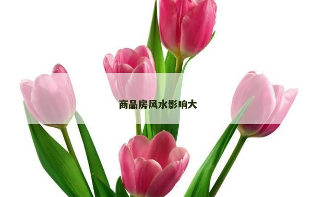 商品房风水影响大
