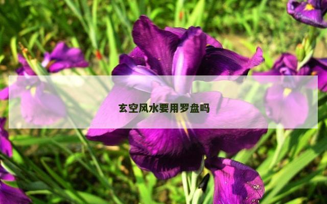 玄空风水要用罗盘吗