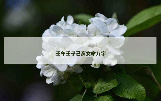 壬午壬子己亥女命八字