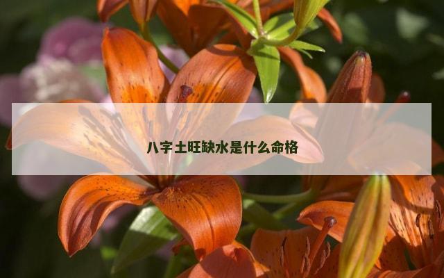 八字土旺缺水是什么命格
