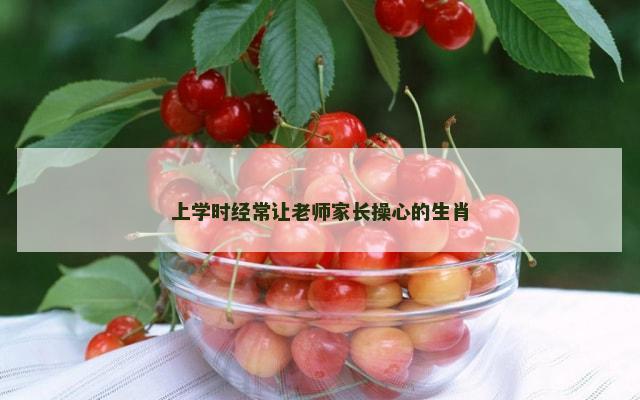 上学时经常让老师家长操心的生肖
