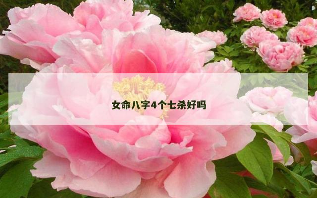 女命八字4个七杀好吗