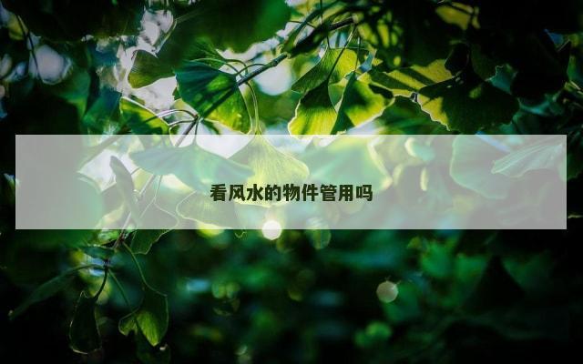 看风水的物件管用吗