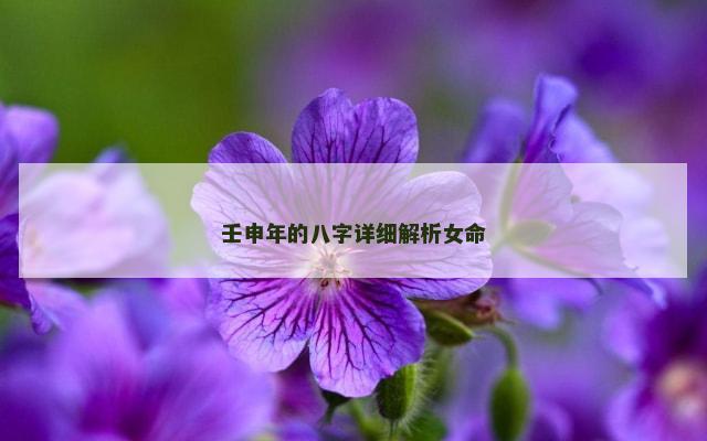 壬申年的八字详细解析女命