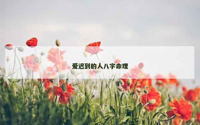 爱迟到的人八字命理