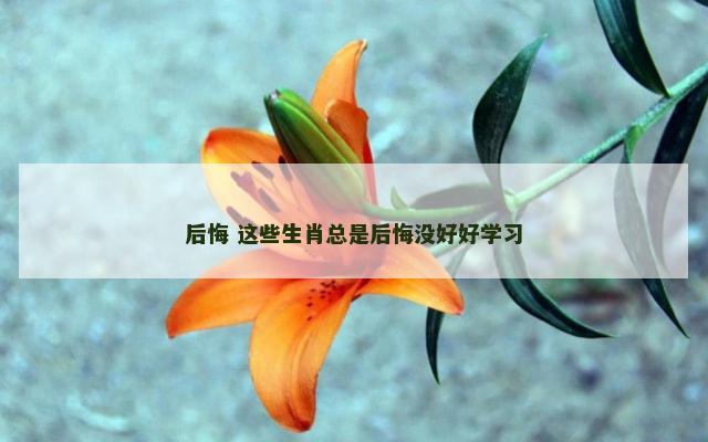 后悔 这些生肖总是后悔没好好学习