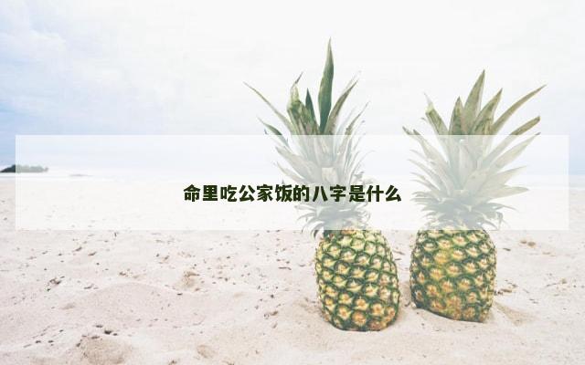 命里吃公家饭的八字是什么