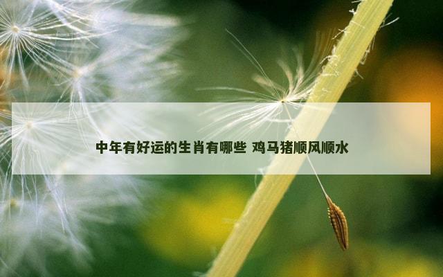 中年有好运的生肖有哪些 鸡马猪顺风顺水