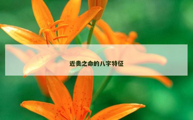 近贵之命的八字特征