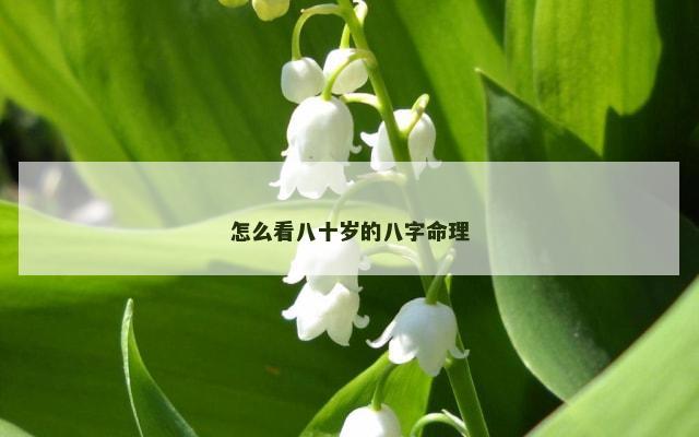 怎么看八十岁的八字命理