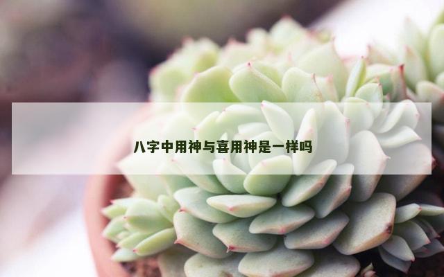 八字中用神与喜用神是一样吗