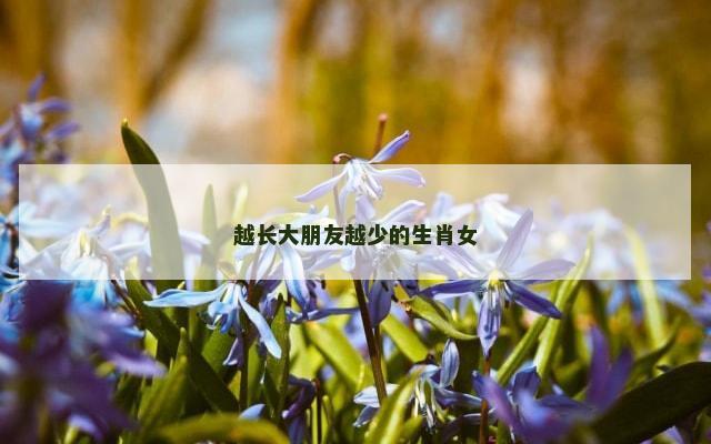 越长大朋友越少的生肖女