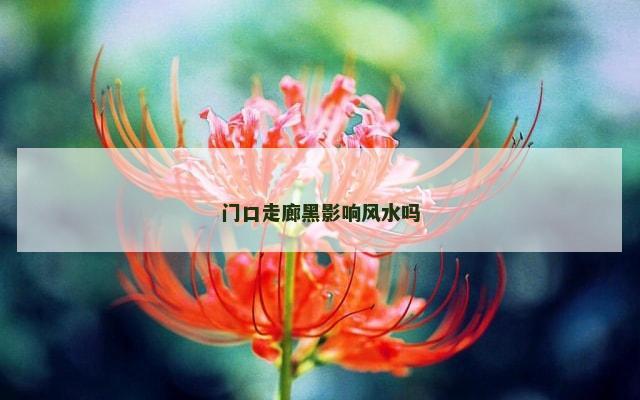 门口走廊黑影响风水吗