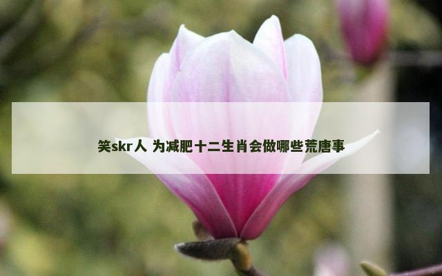 笑skr人 为减肥十二生肖会做哪些荒唐事