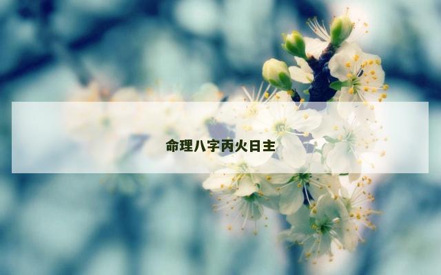 命理八字丙火日主