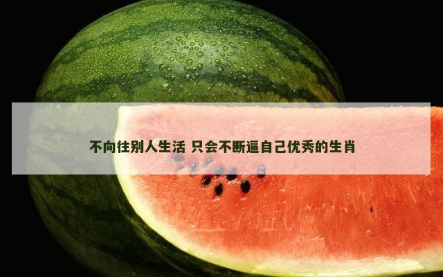 不向往别人生活 只会不断逼自己优秀的生肖