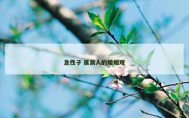 急性子 属鼠人的婚姻观
