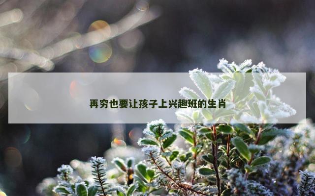 再穷也要让孩子上兴趣班的生肖