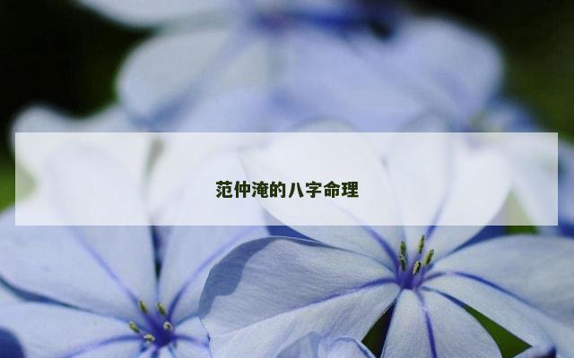 范仲淹的八字命理