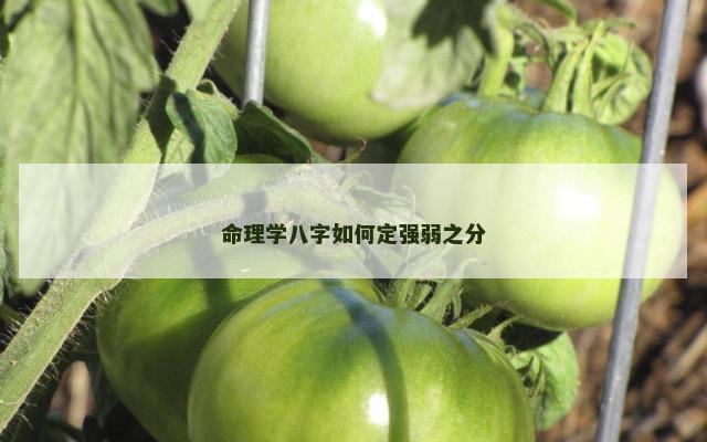 命理学八字如何定强弱之分