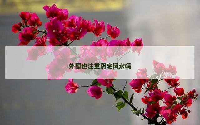 外国也注重阴宅风水吗