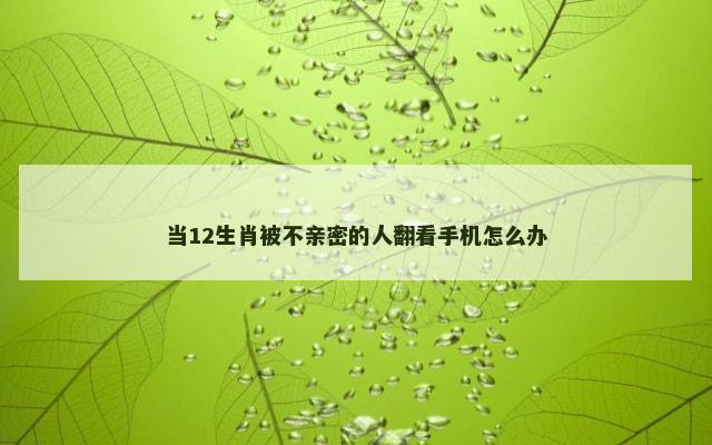 当12生肖被不亲密的人翻看手机怎么办