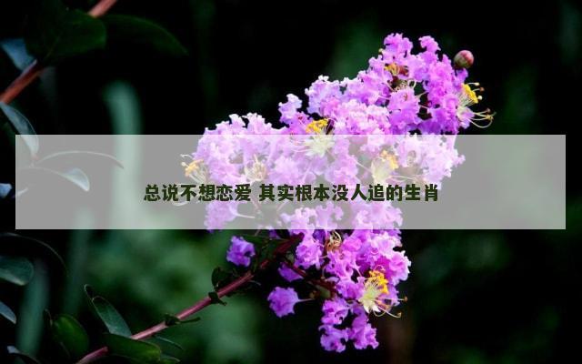 总说不想恋爱 其实根本没人追的生肖