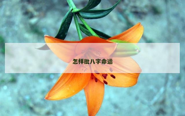 怎样批八字命运