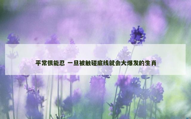 平常很能忍 一旦被触碰底线就会大爆发的生肖