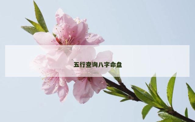 五行查询八字命盘
