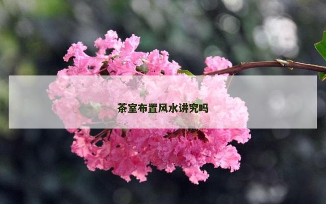 茶室布置风水讲究吗