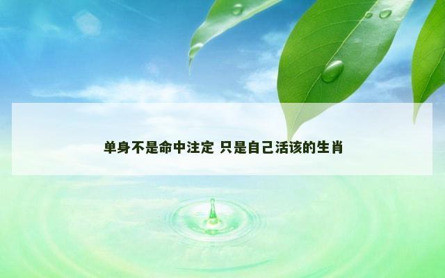 单身不是命中注定 只是自己活该的生肖