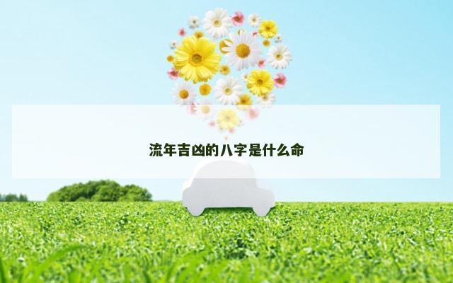 流年吉凶的八字是什么命